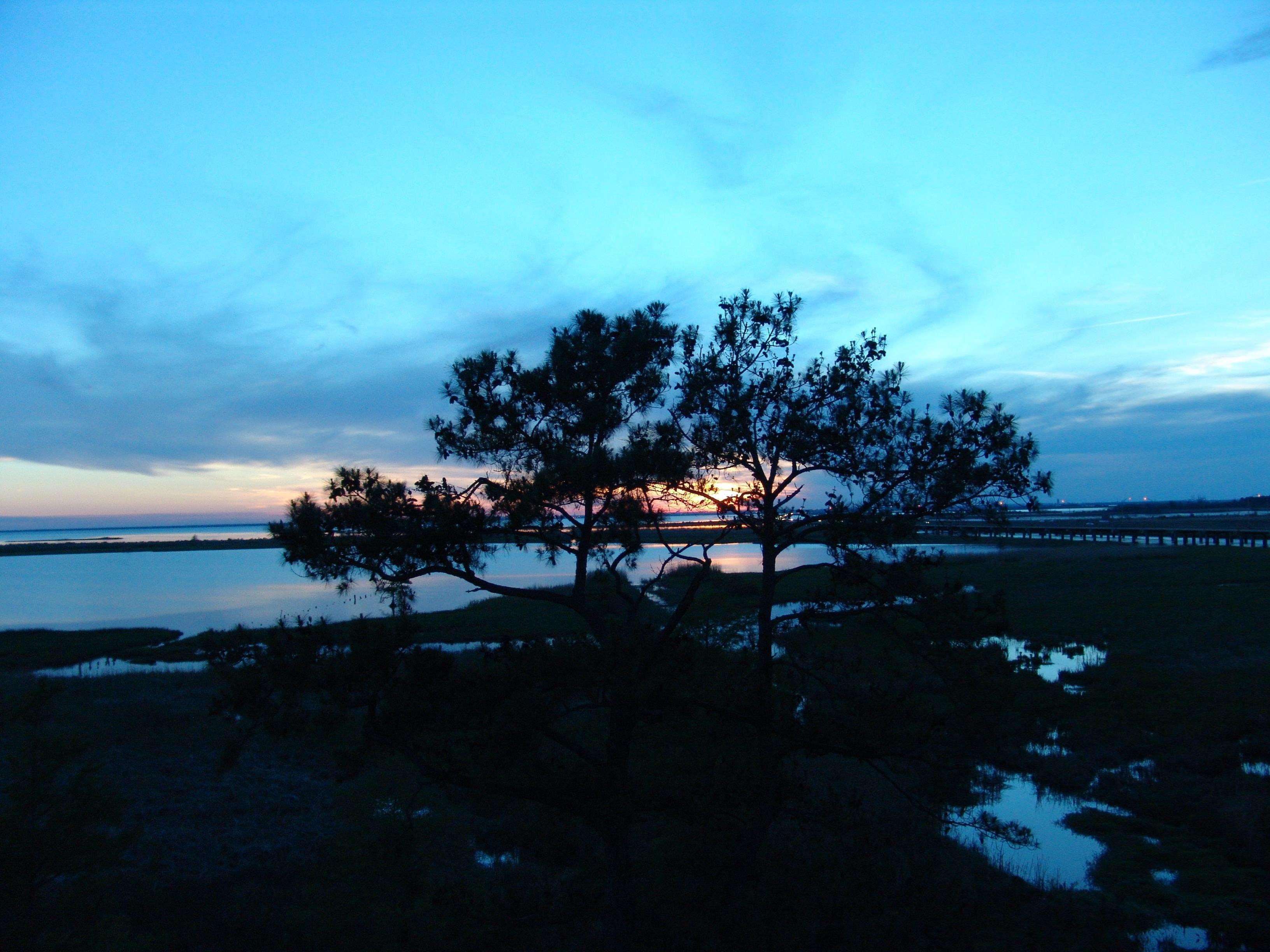 Hampton Inn Mobile/East Bay Daphne Zewnętrze zdjęcie